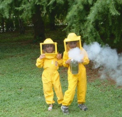 Children's Bee Suits